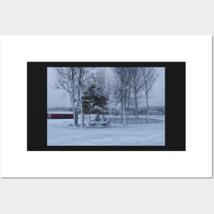 Winter landscape, snowy winter trees. Posters and Art